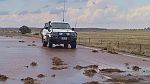 25-Zebra drives near flooded Burra Gorge